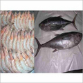 Sea Food