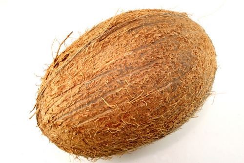 coconut
