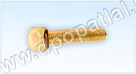 Square Head Screws