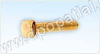 Square Head Screws