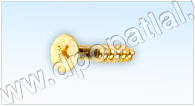 Type Wood Screws