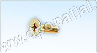 Hex Head Screws