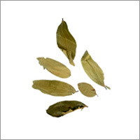 Bay Leaf