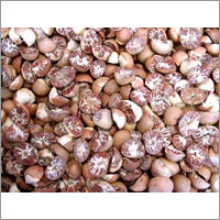 Betel Nut Split