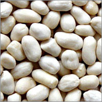 Blanched Peanut Kernel