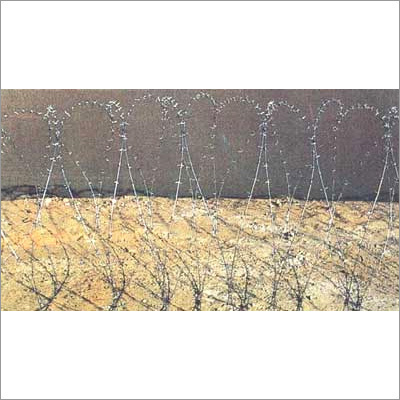 Concertina Barbed Wire