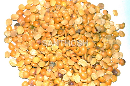 Dhal