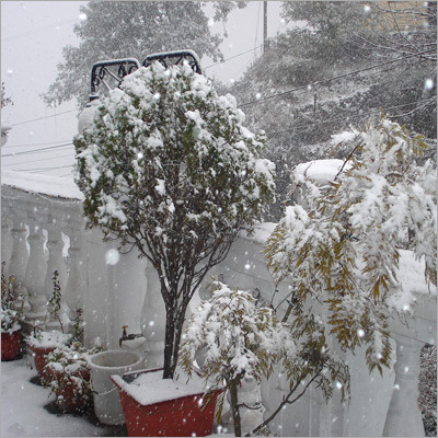 Snow Fall from Hotel Terrace