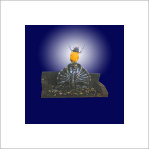 Naag Mandir Tour Service