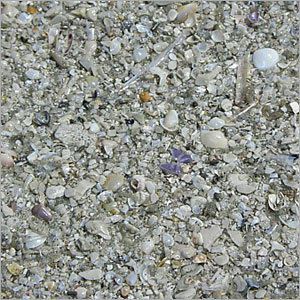 Sea Shell Grit