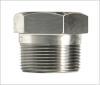 Plug Bolt