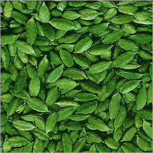 Cardamom
