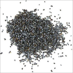 Black Poppy Seeds