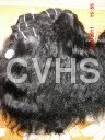 Body Wave machine weft