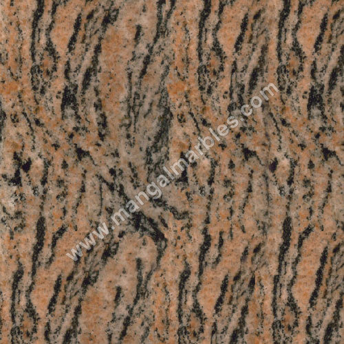 Tiger Skin Granite Application: Area: Countertops