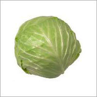 Cabbage