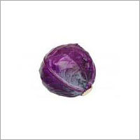 Onion