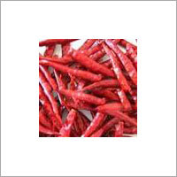 Red Chilli