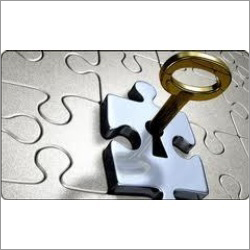 Pharma Turnkey Project Consultancy