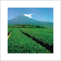 Crop Protection Chemicals