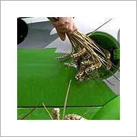Biofuel Pour Point Depressant