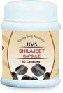 Shilajeet Capsules