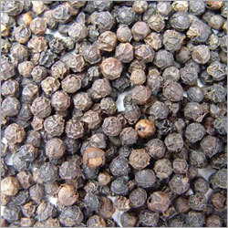 Black Pepper