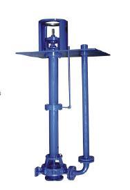 Submerged Pump