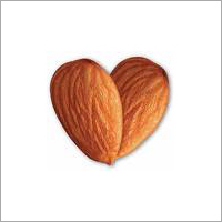 Almond