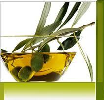 Castor Oil Derivatives