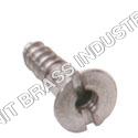 Mirror Screw
