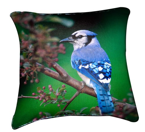 Printed Cusion Cover