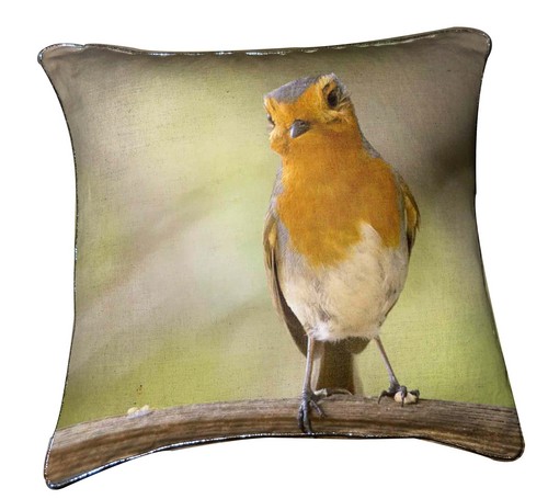 Square Shape Printed Cusion Cover