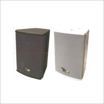 Speaker (100W)