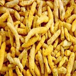 Finger Turmeric