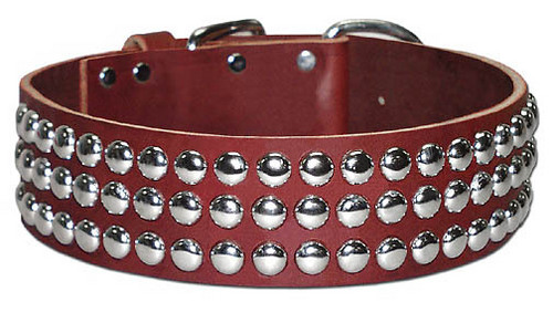 leather collars for dogs