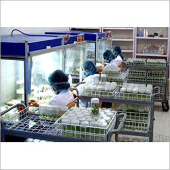 Agriculture Project