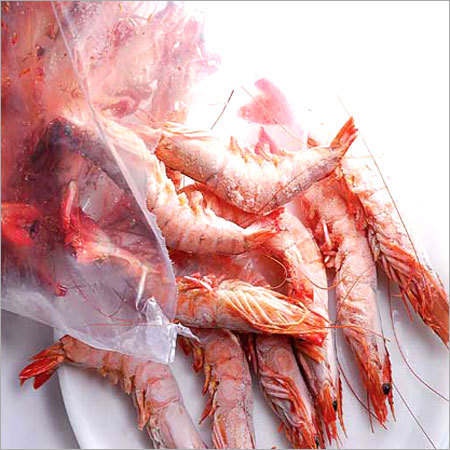 Red Ring Shrimps