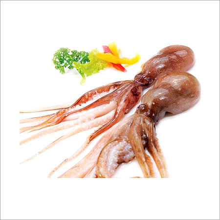 Octopus Whole