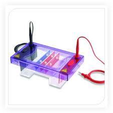 Electrophoresis