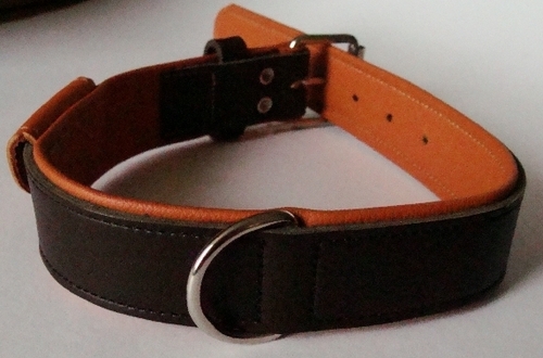 Leather dog collar