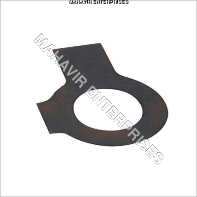 Double Tab Washers