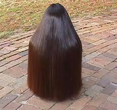 Long Straight Black Hair