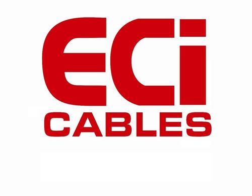 ECI Logo 