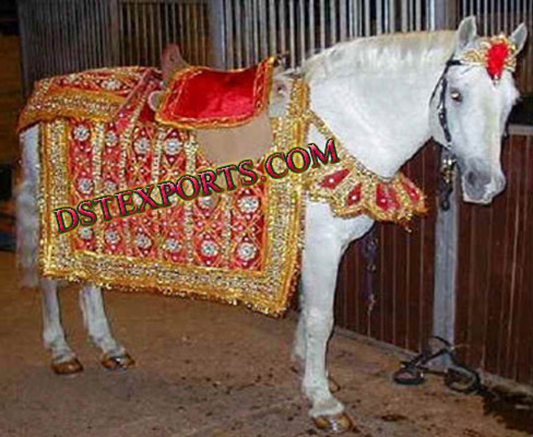 Indian Wedding Horse Costume