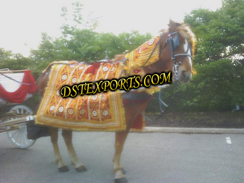 Punjabi Wedding Horse Costumes 