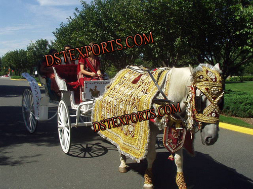 Wedding Horse Costume