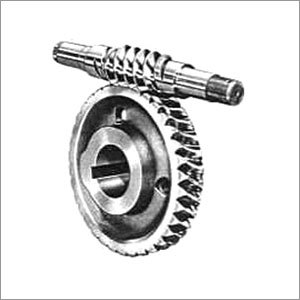 Worm Wheel