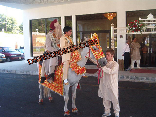 Wedding Horse Costume