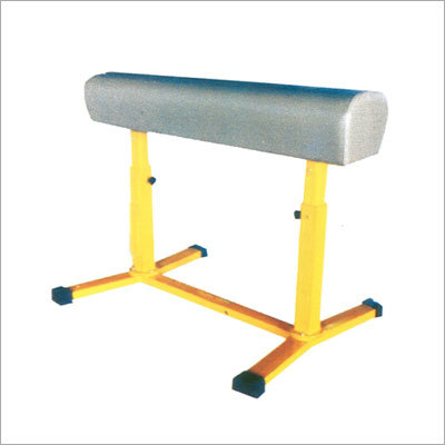 Gymnastics Vaulting Horse